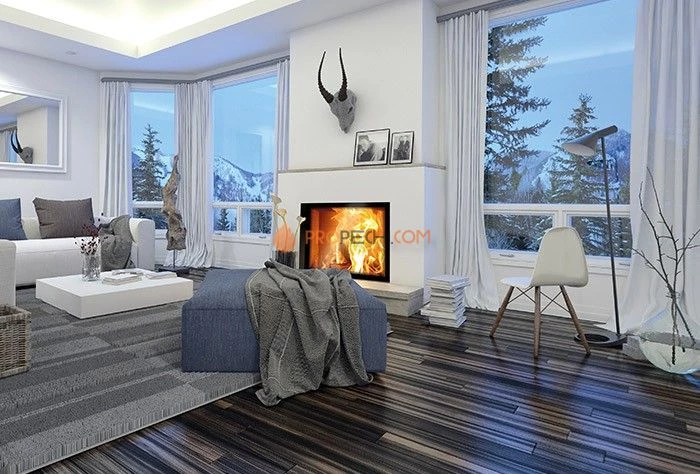 Каминная топка Schmid Lina 7363h