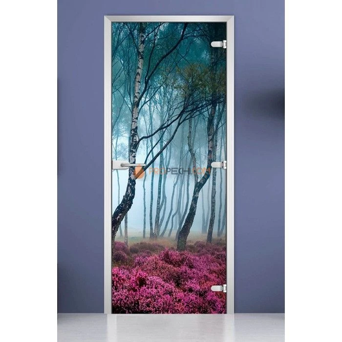Стеклянная межкомнатная дверь DoorWood с фотопечатью Forest-07, 2000х700 мм