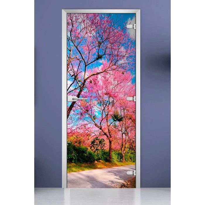 Стеклянная межкомнатная дверь DoorWood с фотопечатью Nature-12, 2000х700 мм