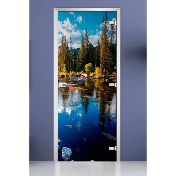 Стеклянная межкомнатная дверь DoorWood с фотопечатью Forest-11, 2000х700 мм