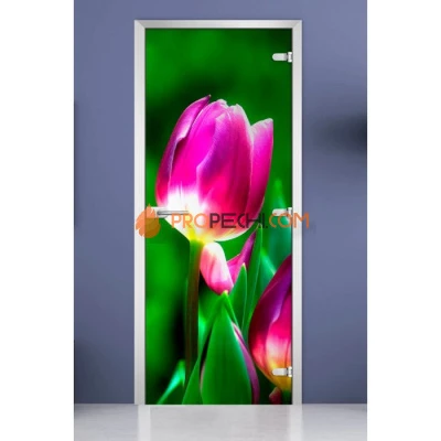 Стеклянная межкомнатная дверь DoorWood с фотопечатью Flowers-15, 2000х800 мм