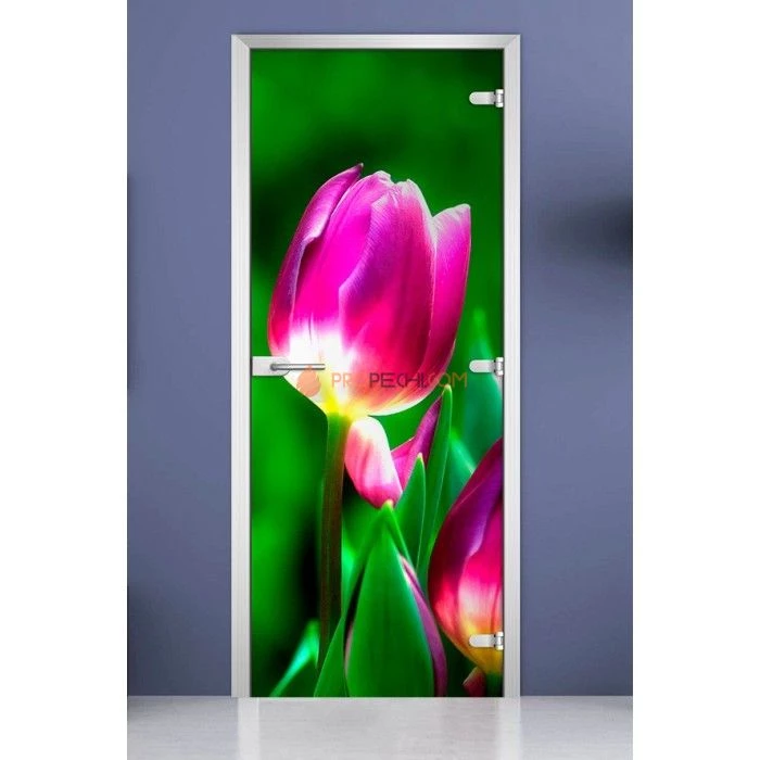 Стеклянная межкомнатная дверь DoorWood с фотопечатью Flowers-15, 2000х800 мм