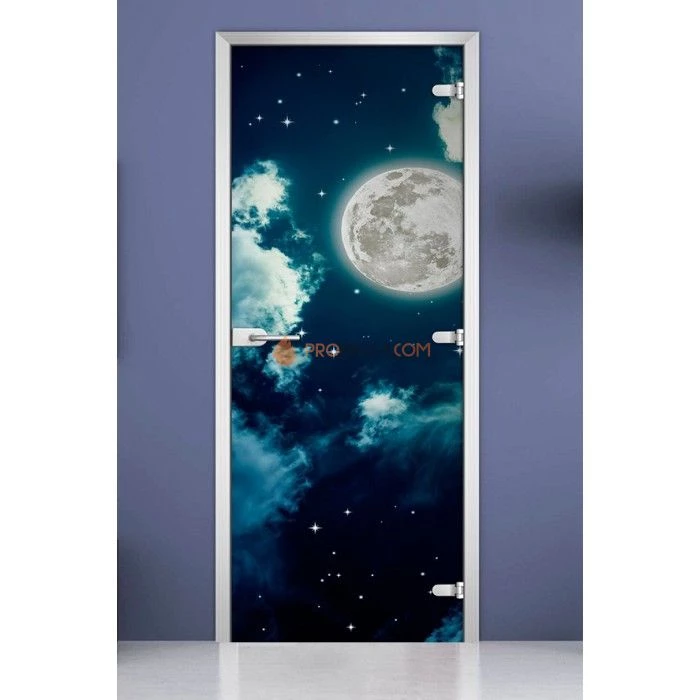 Стеклянная межкомнатная дверь DoorWood с фотопечатью Space-14, 2000х700 мм