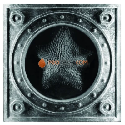 Изразец Морская Звезда 102 Talc