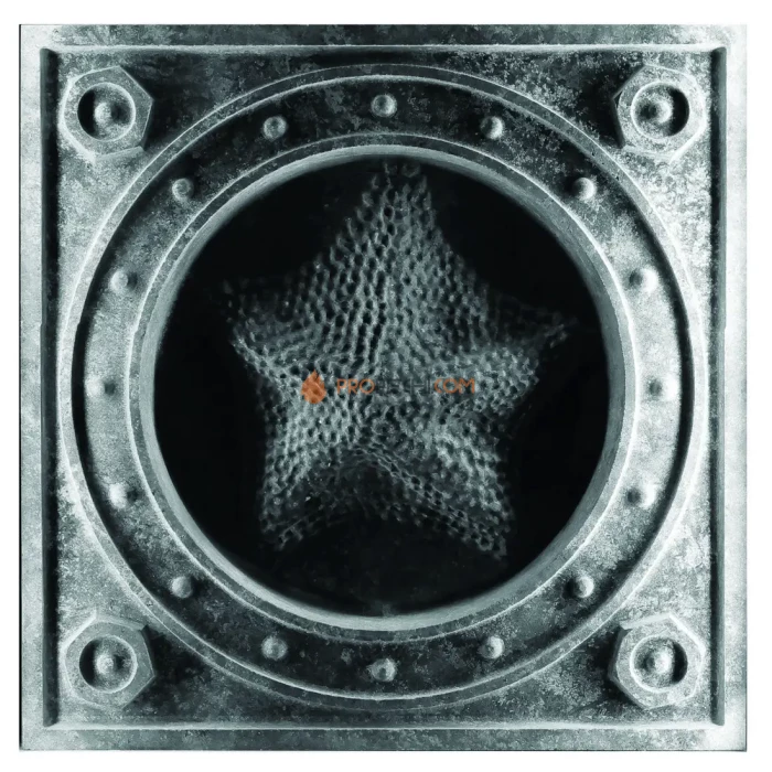 Изразец Морская Звезда 102 Talc