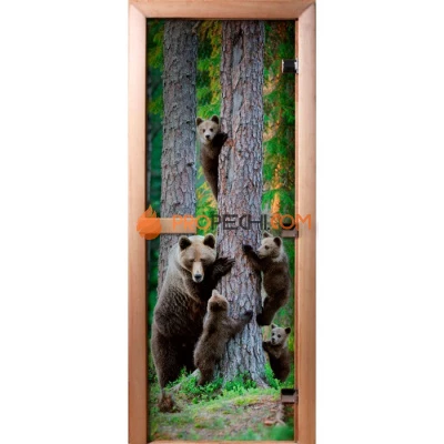 Дверь для бани DoorWood Фотопечать А064, 2100x900 мм