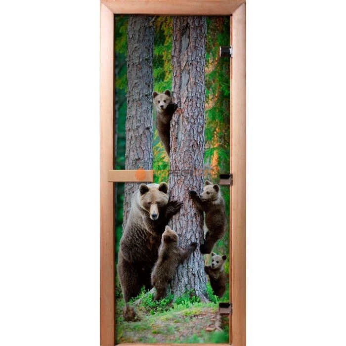 Дверь для бани DoorWood Фотопечать А064, 2100x900 мм