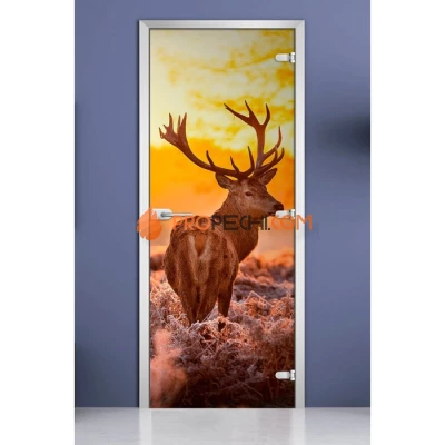 Стеклянная межкомнатная дверь DoorWood с фотопечатью Animals-16, 2000х800 мм