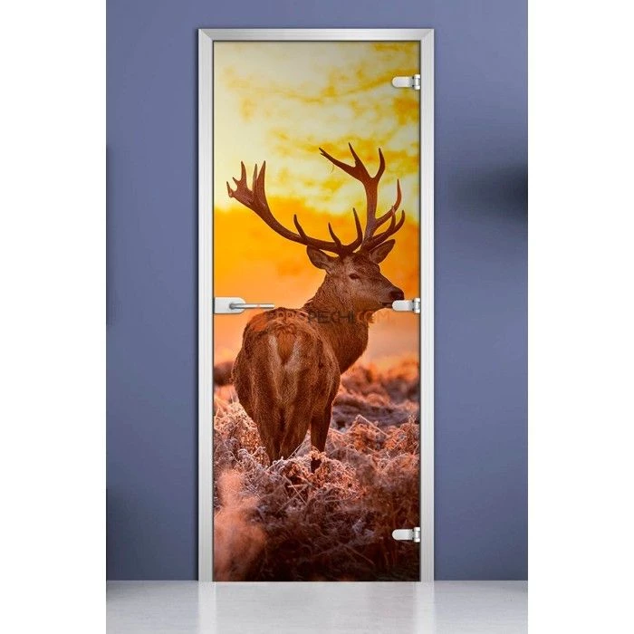 Стеклянная межкомнатная дверь DoorWood с фотопечатью Animals-16, 2000х800 мм