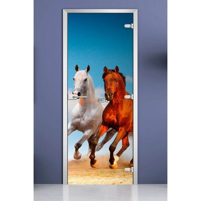 Стеклянная межкомнатная дверь DoorWood с фотопечатью Animals-05, 2000х700 мм