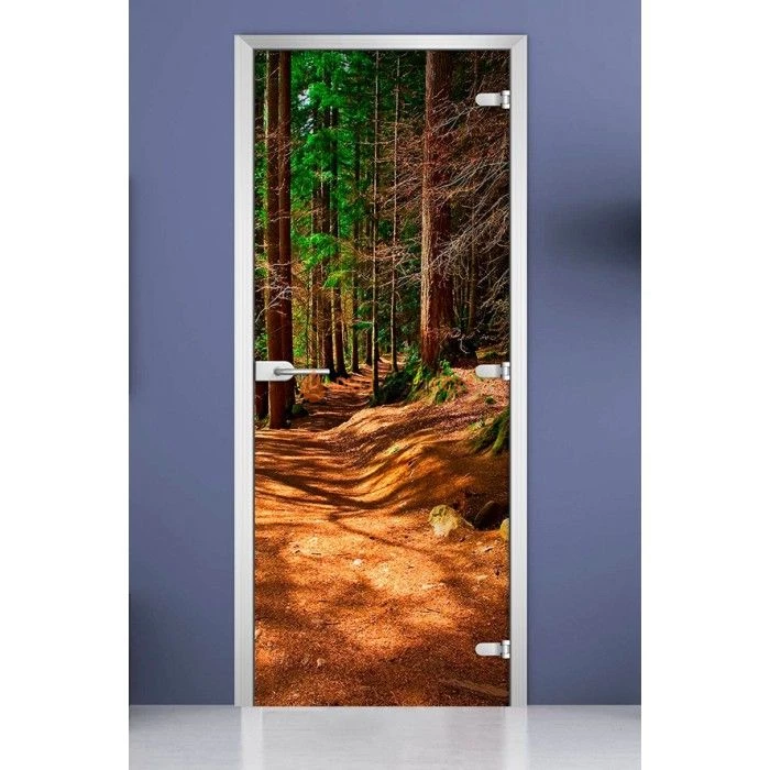 Стеклянная межкомнатная дверь DoorWood с фотопечатью Forest-17, 2000х800 мм