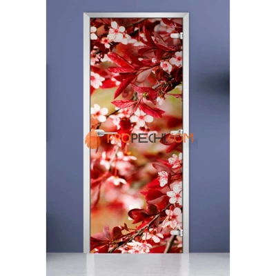 Стеклянная межкомнатная дверь DoorWood с фотопечатью Nature-08, 2000х800 мм