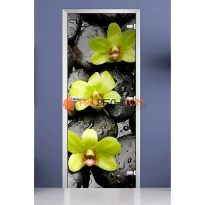 Стеклянная межкомнатная дверь DoorWood с фотопечатью Flowers-11, 2000х600 мм