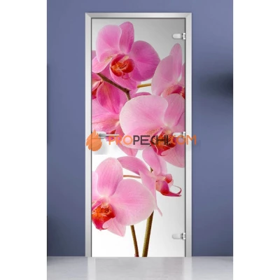 Стеклянная межкомнатная дверь DoorWood с фотопечатью Flowers-17, 2000х800 мм