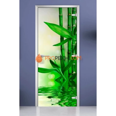 Стеклянная межкомнатная дверь DoorWood с фотопечатью Spa-03, 2000х700 мм