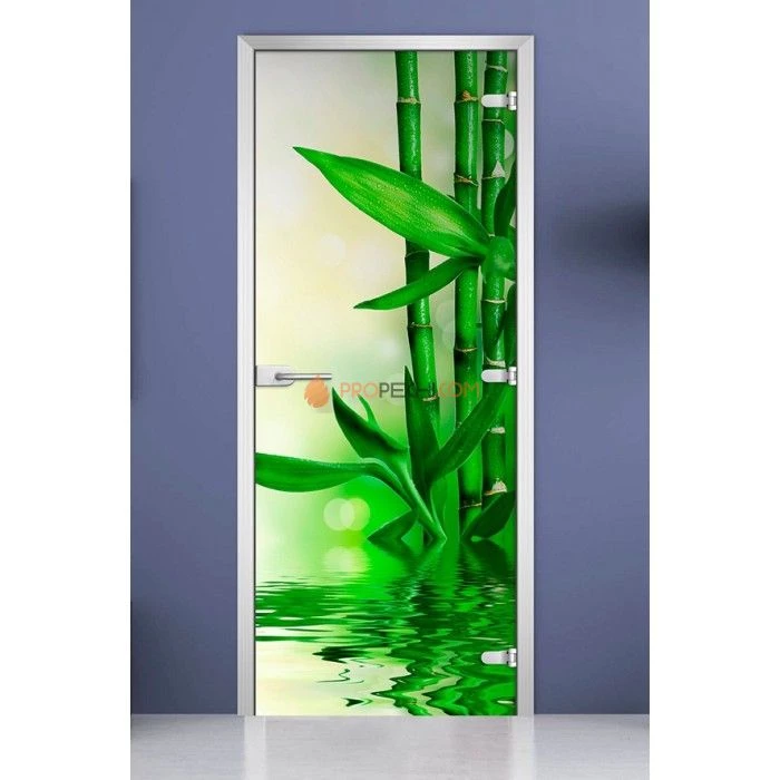 Стеклянная межкомнатная дверь DoorWood с фотопечатью Spa-03, 2000х700 мм