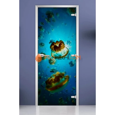 Стеклянная межкомнатная дверь DoorWood с фотопечатью Underwater World-07, 2000х600 мм