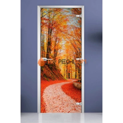 Стеклянная межкомнатная дверь DoorWood с фотопечатью Forest-16, 2000х700 мм