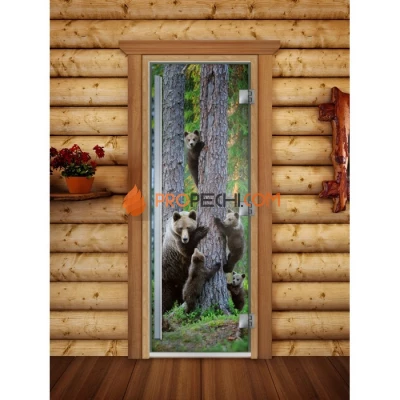 Дверь для бани DoorWood Престиж Фотопечать А064, 2000x800 мм