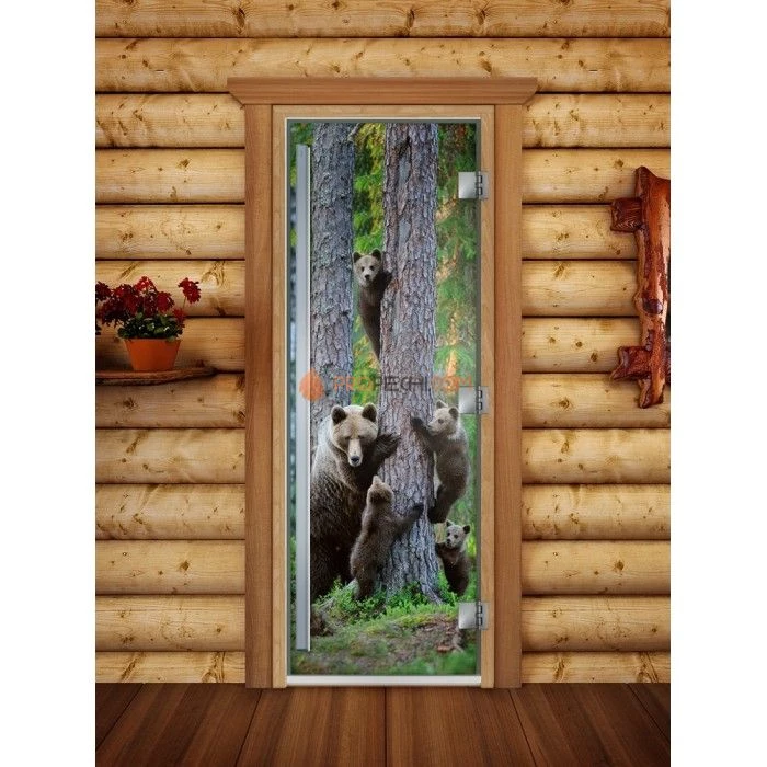 Дверь для бани DoorWood Престиж Фотопечать А064, 2000x800 мм