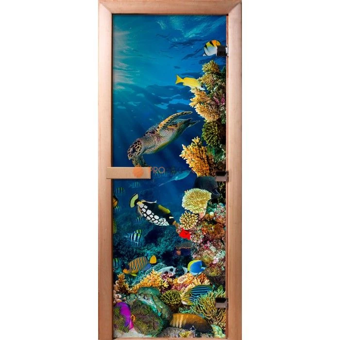 Дверь для бани DoorWood Фотопечать А087, 1700x700 мм