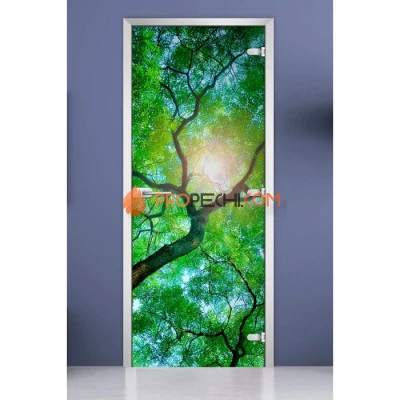 Стеклянная межкомнатная дверь DoorWood с фотопечатью Forest-02, 2000х800 мм