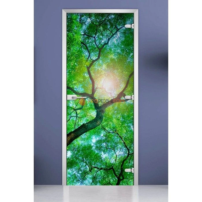 Стеклянная межкомнатная дверь DoorWood с фотопечатью Forest-02, 2000х800 мм