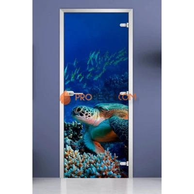Стеклянная межкомнатная дверь DoorWood с фотопечатью Underwater World-03, 2000х700 мм