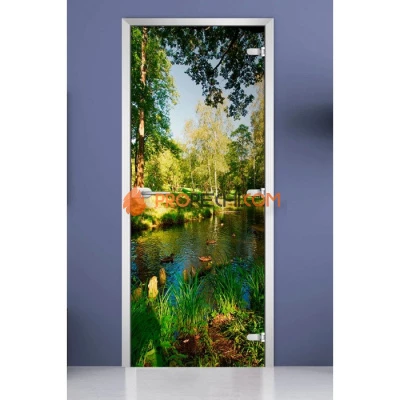 Стеклянная межкомнатная дверь DoorWood с фотопечатью Forest-12, 2000х800 мм