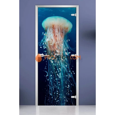 Стеклянная межкомнатная дверь DoorWood с фотопечатью Underwater World-13, 2000х600 мм