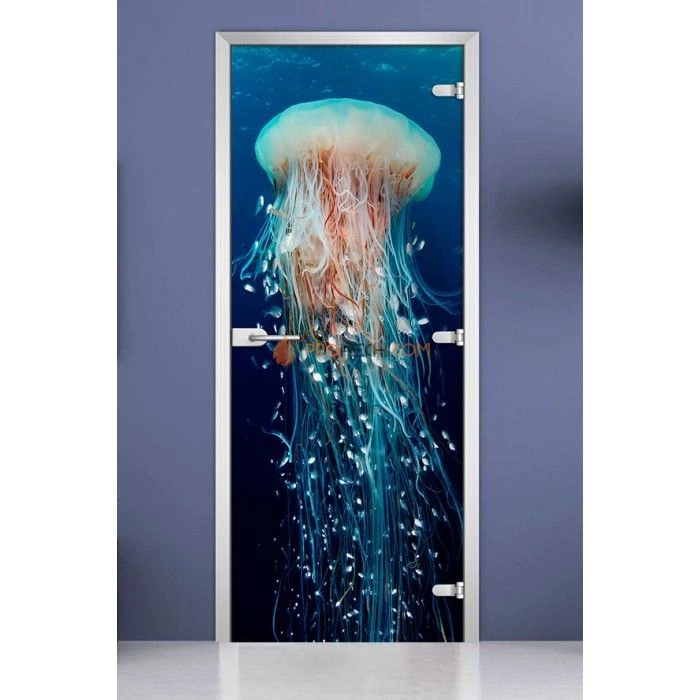Стеклянная межкомнатная дверь DoorWood с фотопечатью Underwater World-13, 2000х600 мм