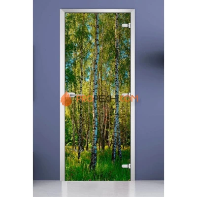 Стеклянная межкомнатная дверь DoorWood с фотопечатью Forest-20, 2000х800 мм