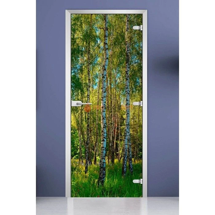 Стеклянная межкомнатная дверь DoorWood с фотопечатью Forest-20, 2000х800 мм