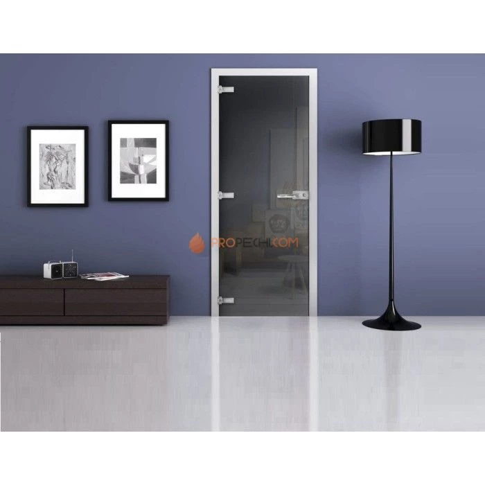 Стеклянная межкомнатная дверь DoorWood с тонированным полотном (Графит), 2000х700 мм