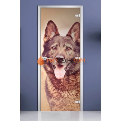 Стеклянная межкомнатная дверь DoorWood с фотопечатью Animals-17, 2000х800 мм