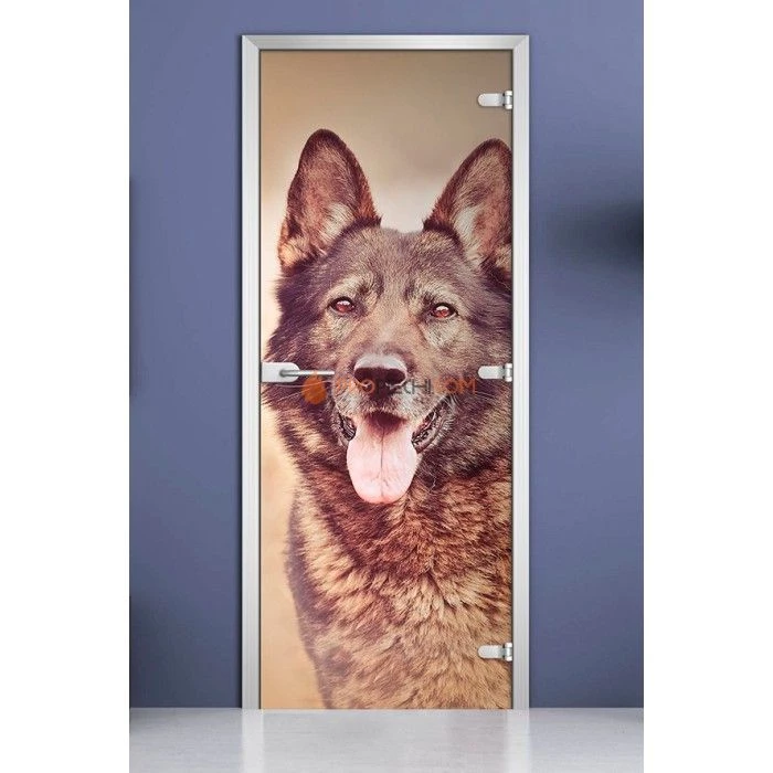 Стеклянная межкомнатная дверь DoorWood с фотопечатью Animals-17, 2000х800 мм