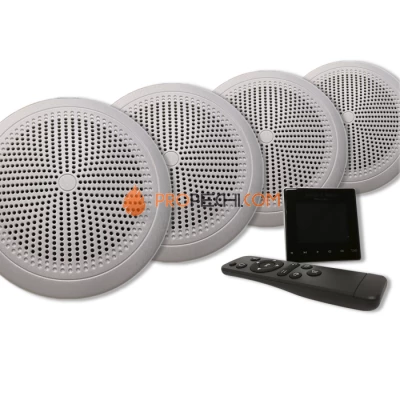 Комплект акустической системы SW 4 Black Standart (Встраиваемый)