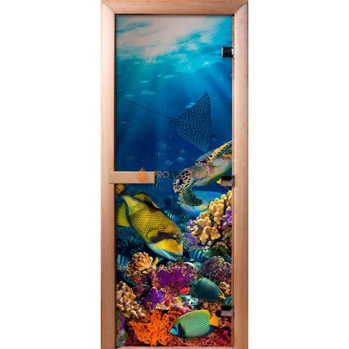 Дверь для бани DoorWood Фотопечать А085, 1700x700 мм