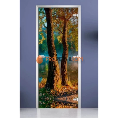 Стеклянная межкомнатная дверь DoorWood с фотопечатью Forest-06, 2000х700 мм