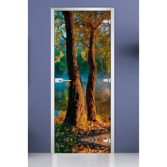 Стеклянная межкомнатная дверь DoorWood с фотопечатью Forest-06, 2000х700 мм