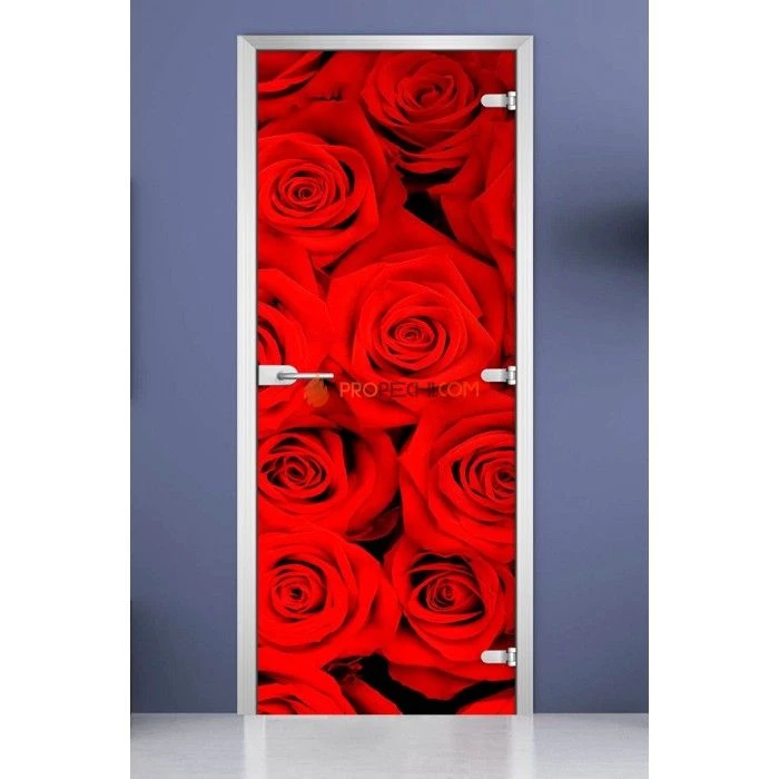 Стеклянная межкомнатная дверь DoorWood с фотопечатью Flowers-08, 2000х600 мм