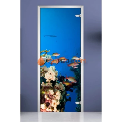 Стеклянная межкомнатная дверь DoorWood с фотопечатью Underwater World-10, 2000х700 мм