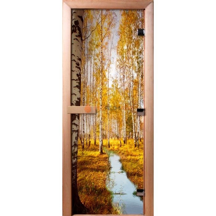 Дверь для бани DoorWood Фотопечать А082, 2000x700 мм