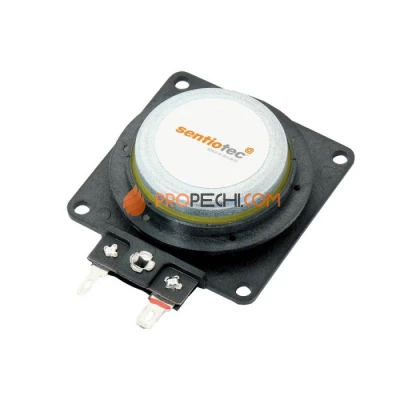 Скрытый динамик Sentiotec