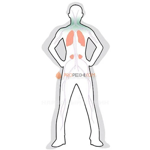 Камни для бани  Жадеит галтованный (10 кг.)