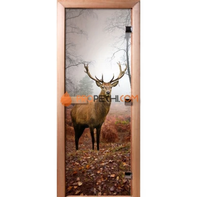 Дверь для бани DoorWood Фотопечать А080, 2100x700 мм