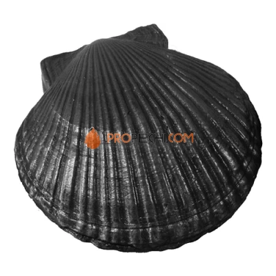 Камень чугунный КЧР-2 Ракушка большая