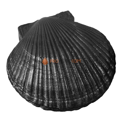 Камень чугунный КЧР-2 Ракушка большая