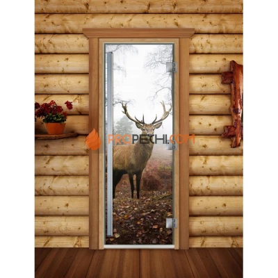 Дверь для бани DoorWood Престиж Фотопечать А080, 1900x700 мм