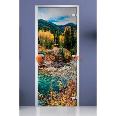 Стеклянная межкомнатная дверь DoorWood с фотопечатью Forest-09, 2000х800 мм